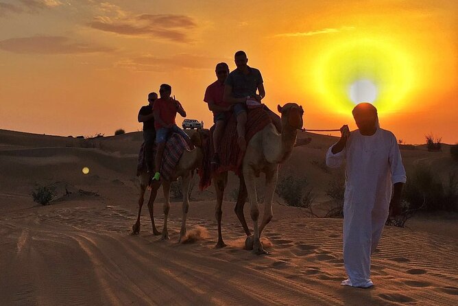 Dubai Evening Desert Safari With BBQ Dinner at Arabian Heritage - Key points before you book