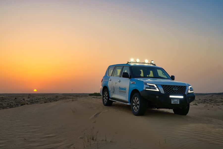 Dubai: Evening Desert Safari with Camel Ride & Stargazing - A desert safari built around nightfall