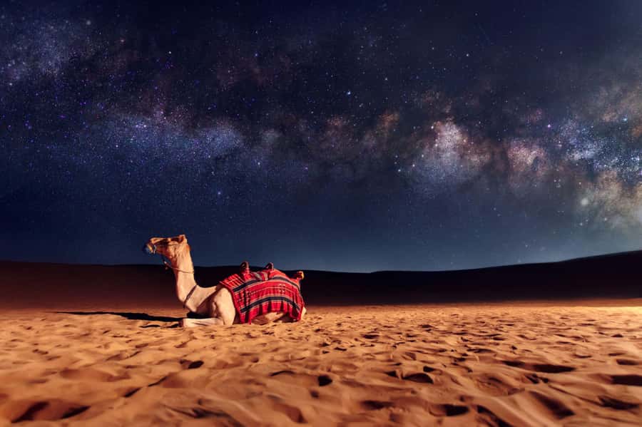 Dubai: Evening Desert Safari with Camel Ride & Stargazing - Stories, Stars, and the telescope