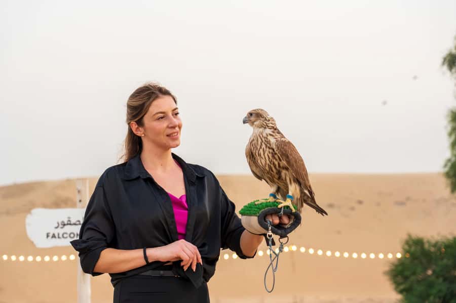 Dubai: Evening Desert Safari with Camel Ride & Stargazing - What the guides add to the experience