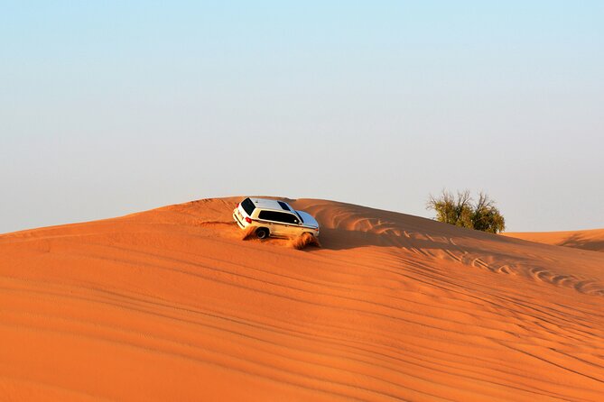 Dubai Evening Desert Safari with RedDune, sandboarding, live show - Why this safari works as a first desert evening