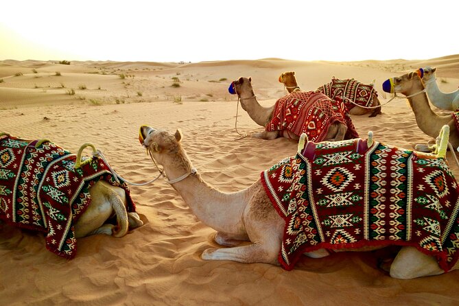 Dubai Evening Desert Safari with RedDune, sandboarding, live show - Tanoura, belly dancing, and the evening show