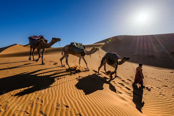 Dubai Evening Desert Safari with RedDune, sandboarding, live show - How much value do you get for $60?