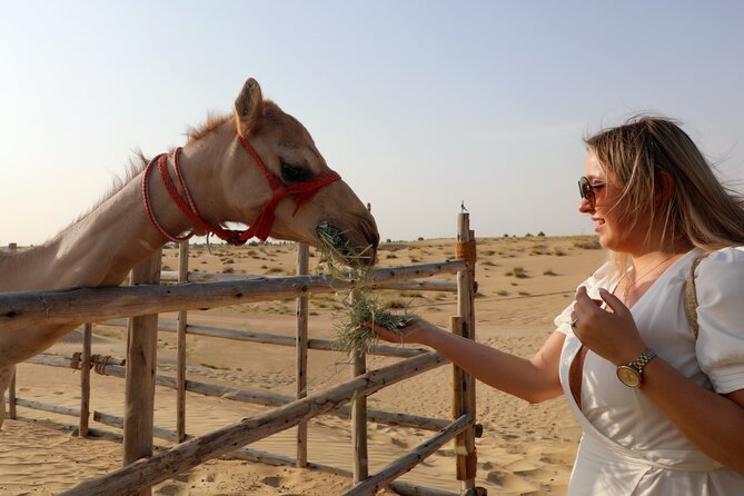 Dubai Evening Heritage Safari by Vintage G Class Al Marmoom Oasis - Sunset, stories, and a darker desert sky