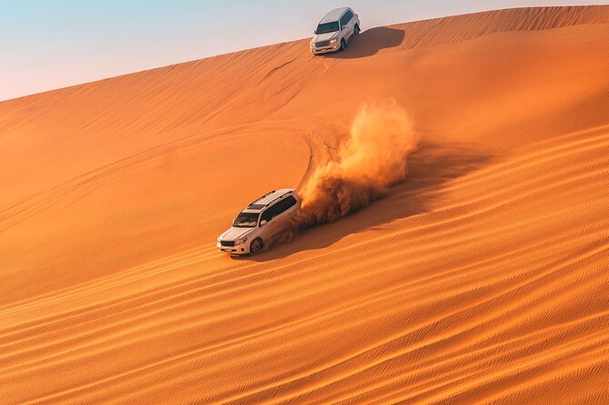 Dubai Evening Private 4x4 Desert Safari ,4 Live Shows, BBQ Dinner - Red dunes, falcons, and the first photo stop