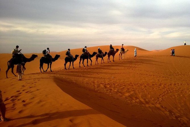 Dubai Evening4x4Desert Safari,BBQ Dinner,4 LiveShows,Camelride - What the $45 price really buys you