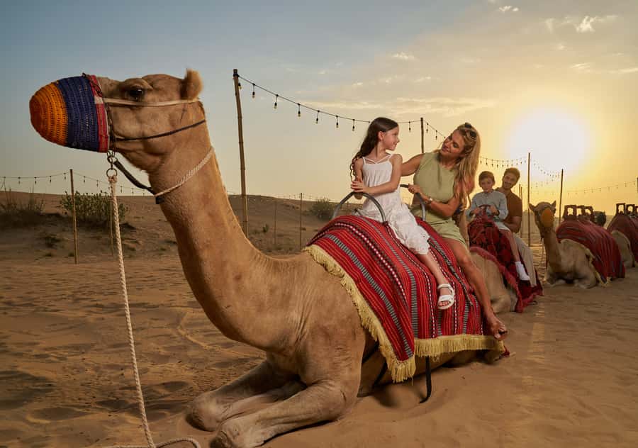 Dubai: Exclusive VIP Desert Safari Dinner with Live Show - A desert evening built around two very different moods
