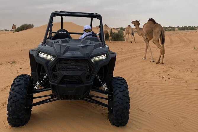 Dubai: Extreme Red Dune Buggy Desert Safari Adventure - The optional camp turns a day ride into an evening outing