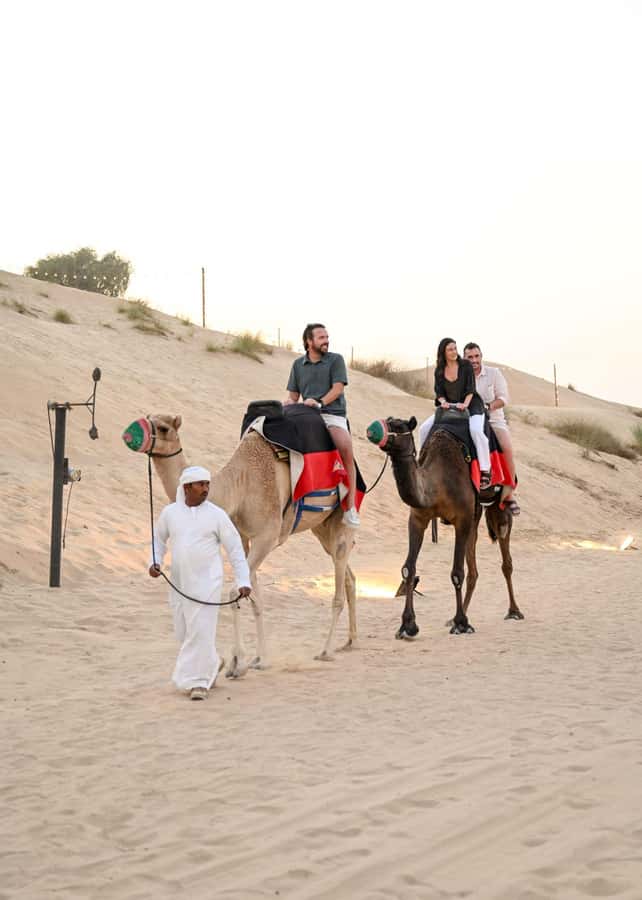 Dubai Fort Lisaili Desert: Quad, Buggy Ride & Free Souvenir - Who should book this Fort Lisaili experience?