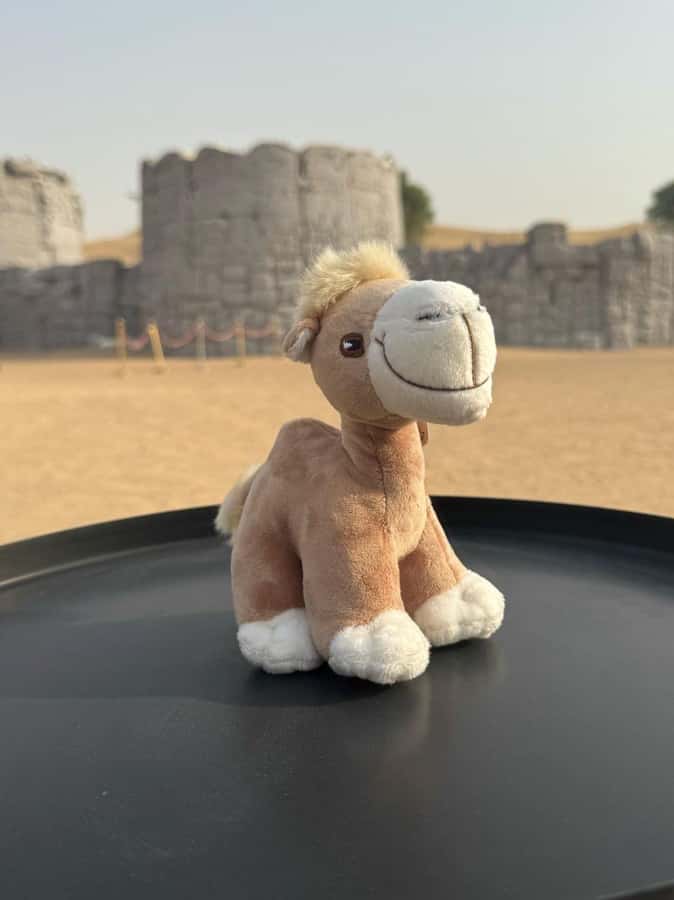 Dubai Fort Lisaili Desert: Quad, Buggy Ride & Free Souvenir - Should you book it?
