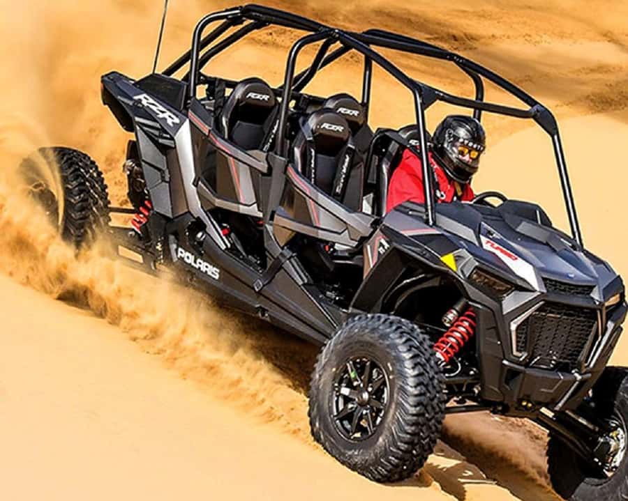 Dubai: Guided Dune Buggy Driving Experience in the Desert - Desert views, wildlife, and the photo stop