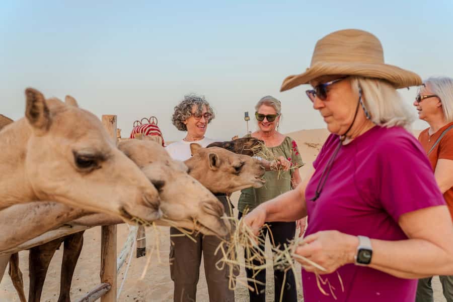 Dubai: Half-Day Camel Trekking with Al Marmoom Breakfast - Who should book this Al Marmoom experience?