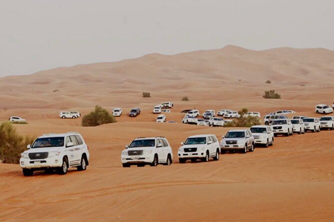 Dubai: Half-Day Desert Safari ,Camels & Sunset - Key points at a glance