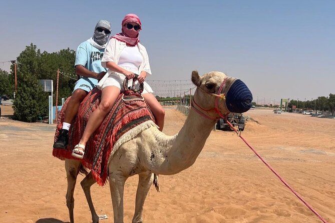 Dubai: Half-Day Desert Safari ,Camels & Sunset - Sandboarding gives you a quick taste of desert sport