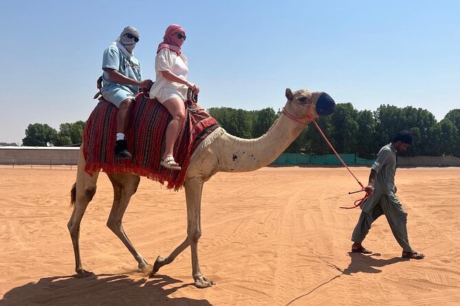 Dubai: Half-Day Desert Safari ,Camels & Sunset - The camel ride adds a traditional touch, but keep it brief