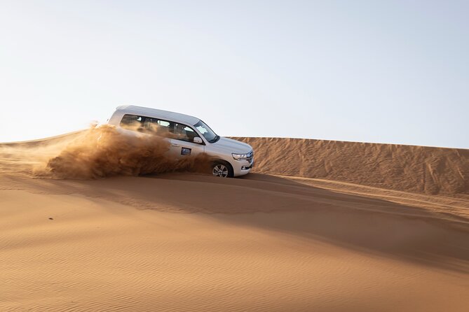 Dubai Half-day Red Dunes bashing with Sandboarding, Camel &Falcon - 30 to 40 minutes of dune bashing