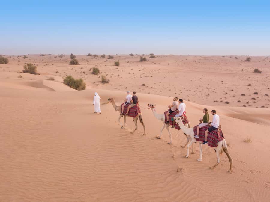 Dubai: Heritage Camel Desert Safari with Traditional Dinner - Sunset falconry in a quieter setting