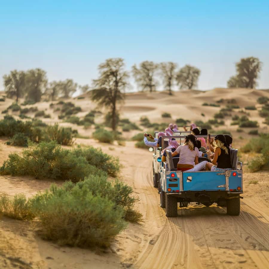 Dubai: Heritage Safari in Vintage Land Rover with Dinner - Riding a 1950s Land Rover through protected desert