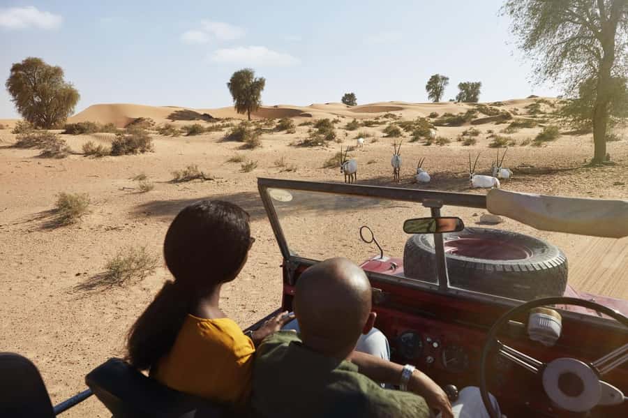 Dubai: Heritage Safari in Vintage Land Rover with Dinner - Oryx, gazelles, and the small details of the reserve