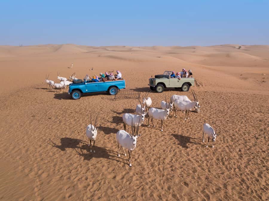 Dubai: Heritage Safari in Vintage Land Rover with Dinner - A Bedouin-style camp at a private royal retreat