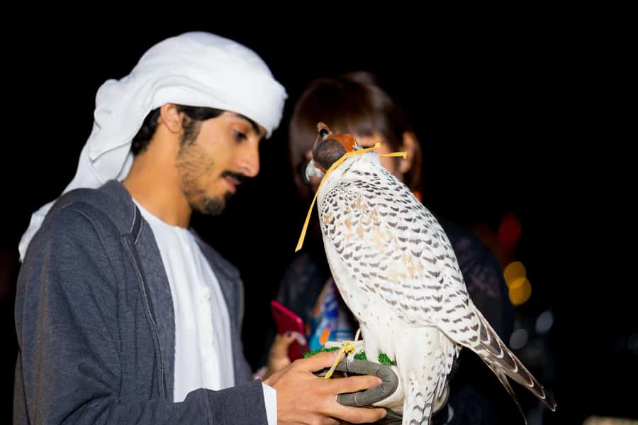 Dubai: Hot Air Balloon, Camel Ride, Desert Safari & More - Who should book this morning