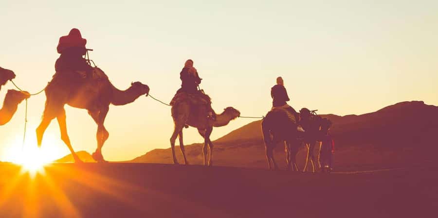 Dubai: Hot Air Balloon with Camel, ATV, & Horse Ride Options - The pre-dawn ride from Dubai