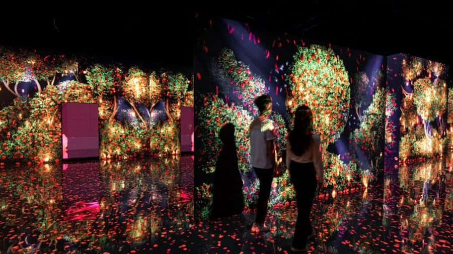 Dubai: iVenture Card Dubai Flexi Attractions Pass - Who should book it?