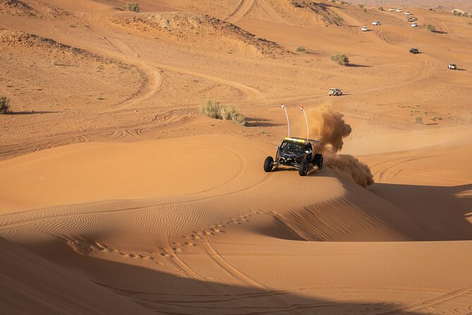 Dubai Long Self-Drive Quadbike with Camel and Falcon - Who should book this desert outing