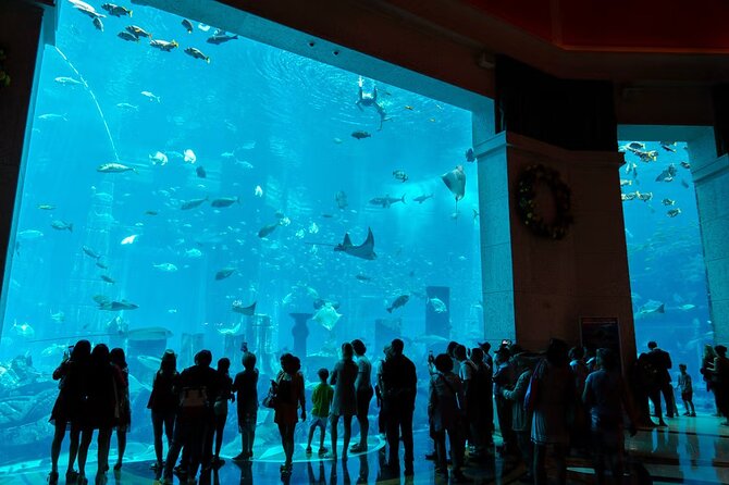Dubai Lost Chambers Aquarium Admission E-Ticket - A good indoor break, with a few practical rules