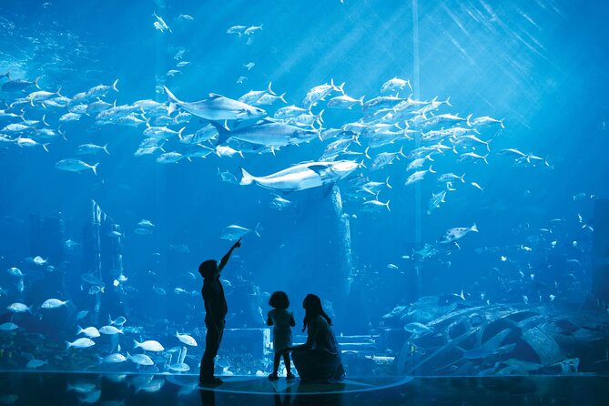 Dubai Lost Chambers Aquarium Admission E-Ticket - Who will enjoy Lost Chambers most?