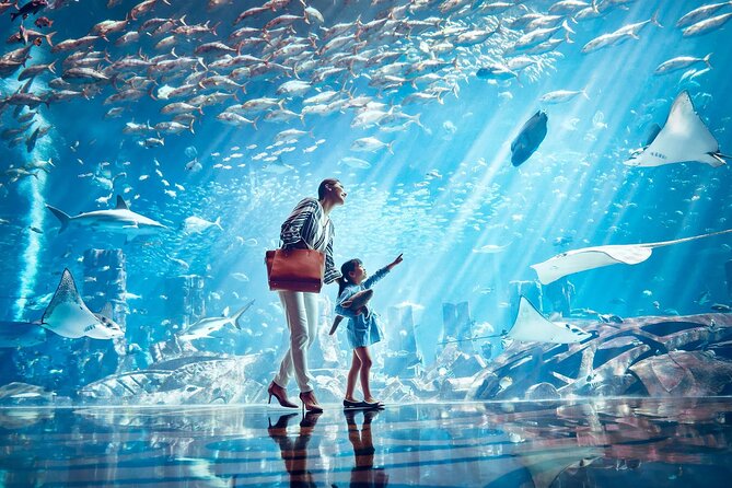 Dubai Lost Chambers Aquarium Admission E-Ticket - Booking, cancellation, and timing