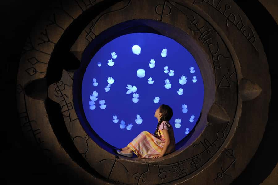 Dubai: Lost Chambers Aquarium Entry Ticket - Key points to know before you go