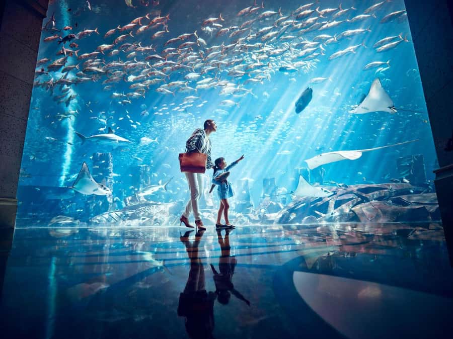 Dubai: Lost Chambers Aquarium Entry Ticket - Entering the Lost City of Atlantis