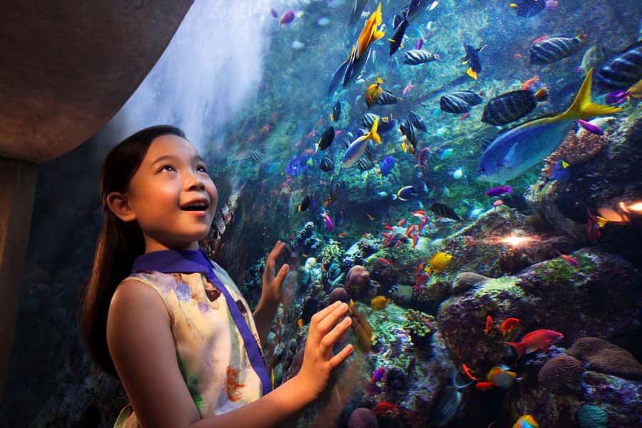 Dubai: Lost Chambers Aquarium Entry Ticket - The Ambassador Lagoon is worth your time