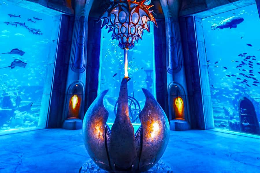 Dubai: Lost Chambers Aquarium Entry Ticket - A self-guided visit with room to slow down