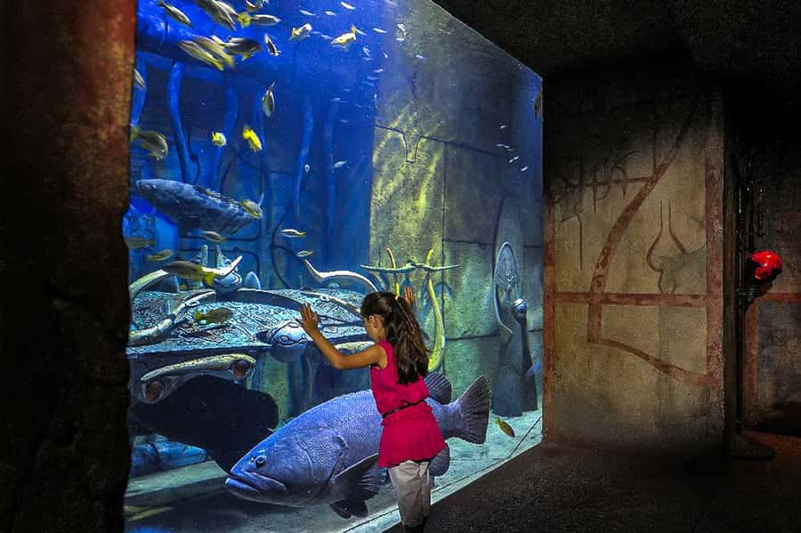 Dubai: Lost Chambers Aquarium Entry Ticket - Food, breaks, and practical planning