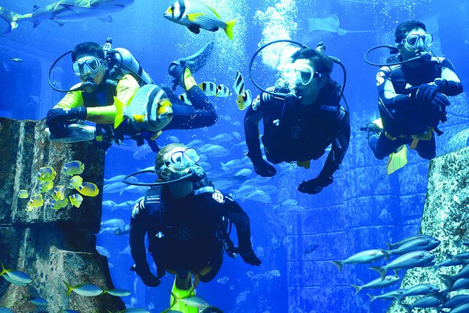 Dubai Lost Chambers Dive Discovery - Entering the Ambassador Lagoon at Atlantis