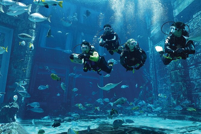 Dubai Lost Chambers Dive Explorer (Certification Required) - What happens from the 9:00 am check-in
