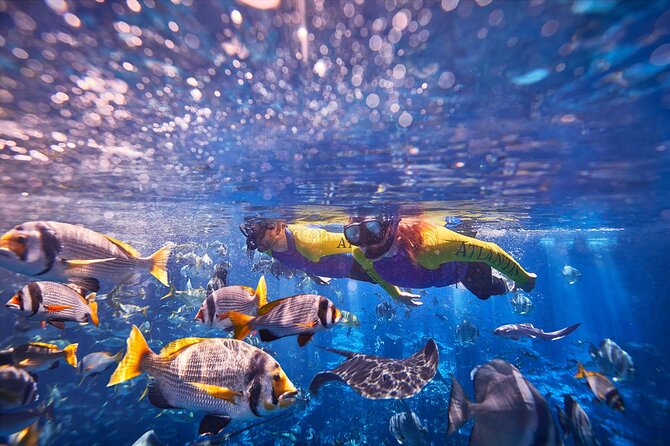 Dubai Lost Chambers Ultimate Snorkel Experience - A short session with a useful aquarium visit
