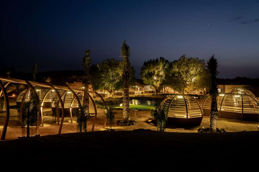 Dubai: Luxury Safari with Michelin-Curated 5-Course Dinner - Royal Grounds, Ghaf trees, and a remote lake