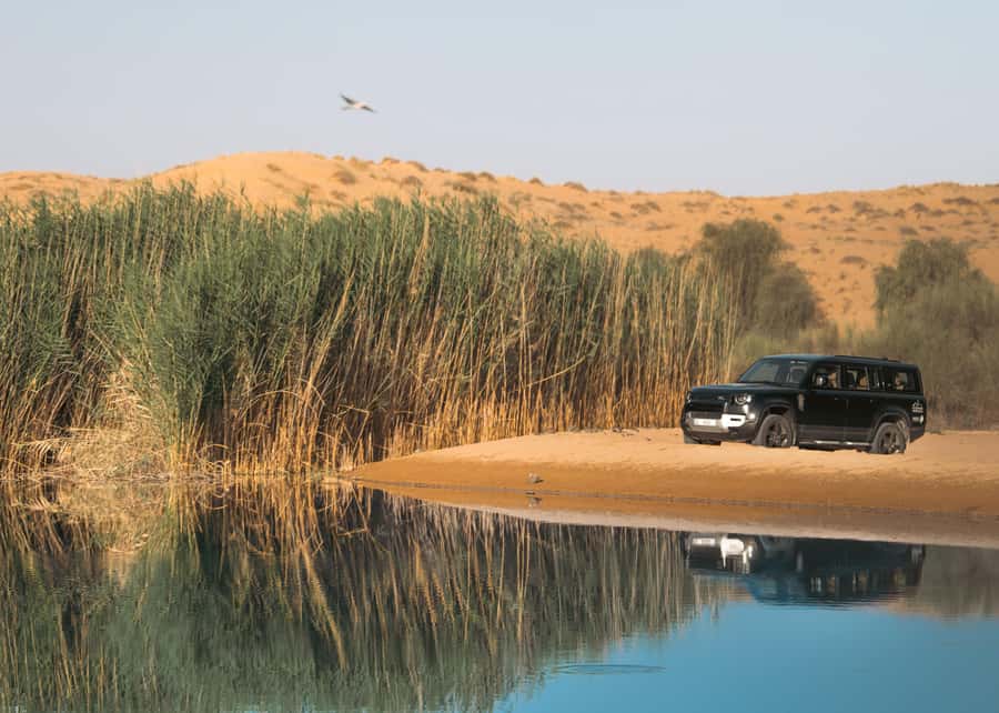 Dubai: Luxury Safari with Michelin-Curated 5-Course Dinner - Falcons, sunset canapes, and the changing light