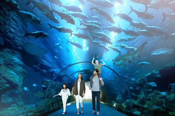 Dubai Mall Aquarium and Underwater Zoo Ticket - Inside Dubai Mall, the aquarium arrives before you expect it
