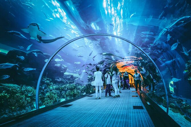 Dubai Mall Aquarium and Underwater Zoo Ticket - The Underwater Zoo adds reptiles and unusual animals
