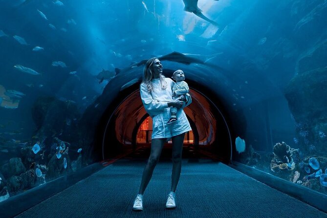 Dubai Mall Aquarium and Underwater Zoo Ticket - What the $69.78 price means