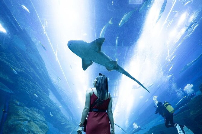 Dubai Mall Aquarium and Underwater Zoo Ticket - How long to allow for the visit