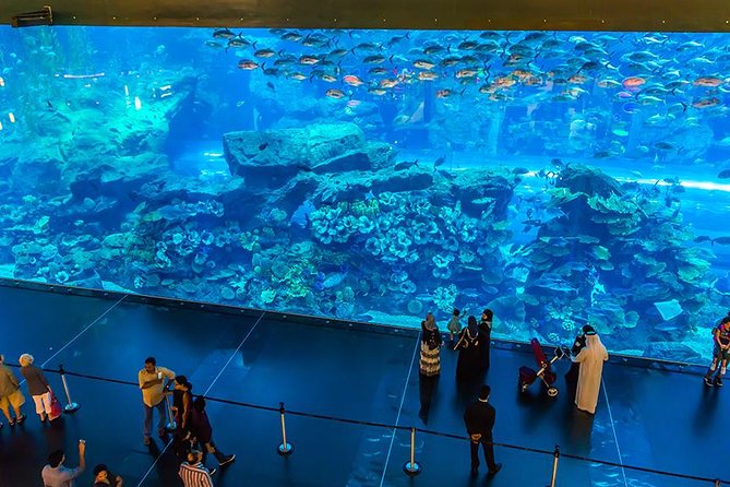 Dubai Mall Aquarium & Underwater Zoo with Penguin Cove Tickets - What the roughly two-hour visit feels like