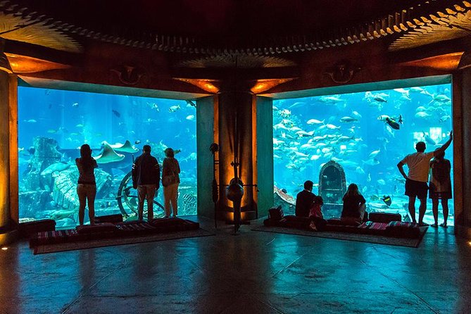 Dubai Mall Aquarium & Underwater Zoo with Penguin Cove Tickets - Best way to plan your visit