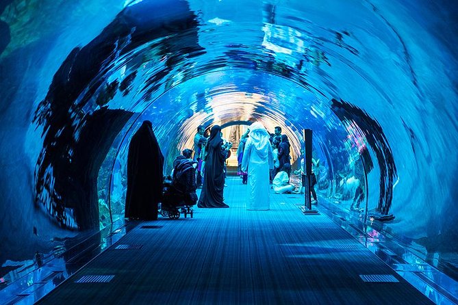 Dubai Mall Aquarium & Underwater Zoo with Penguin Cove Tickets - What the animal displays do well, and where they fall short