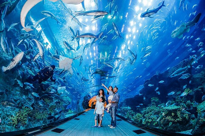 Dubai Mall Aquarium with Penguin Cove + Skyview Ticket - Inside Dubai Mall Aquarium and Underwater Zoo