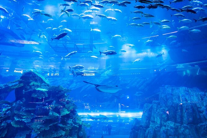 Dubai Mall Aquarium with Penguin Cove + Skyview Ticket - How to plan the two to three hours